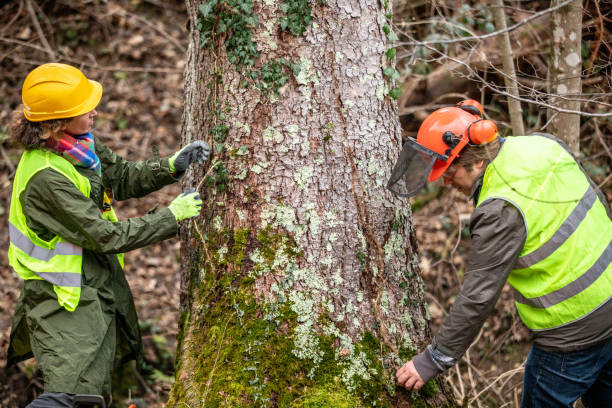 Best Tree Health Inspection  in Prague, OK